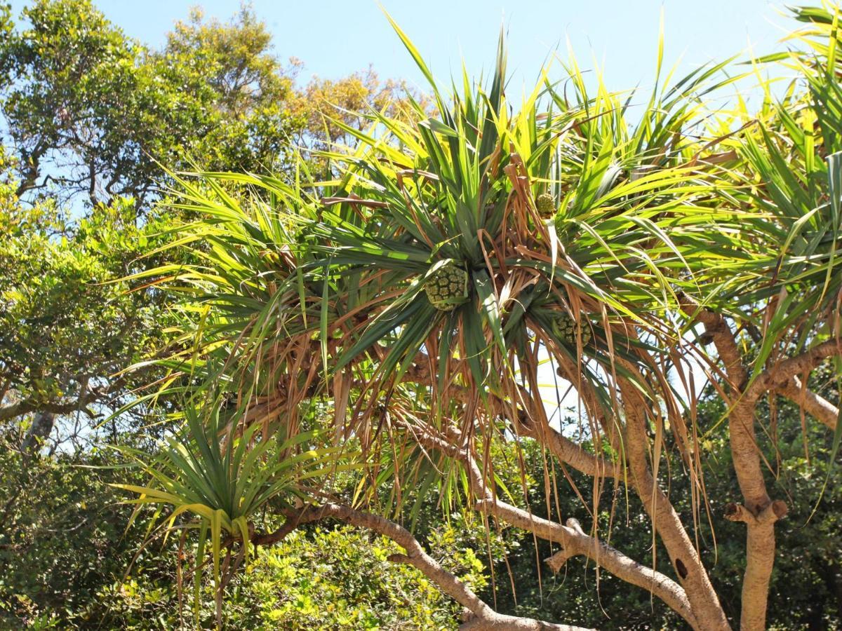 Windmill 4 Two Bedroom Beachside Apartment On Parkyn Parade Mooloolaba Exterior photo